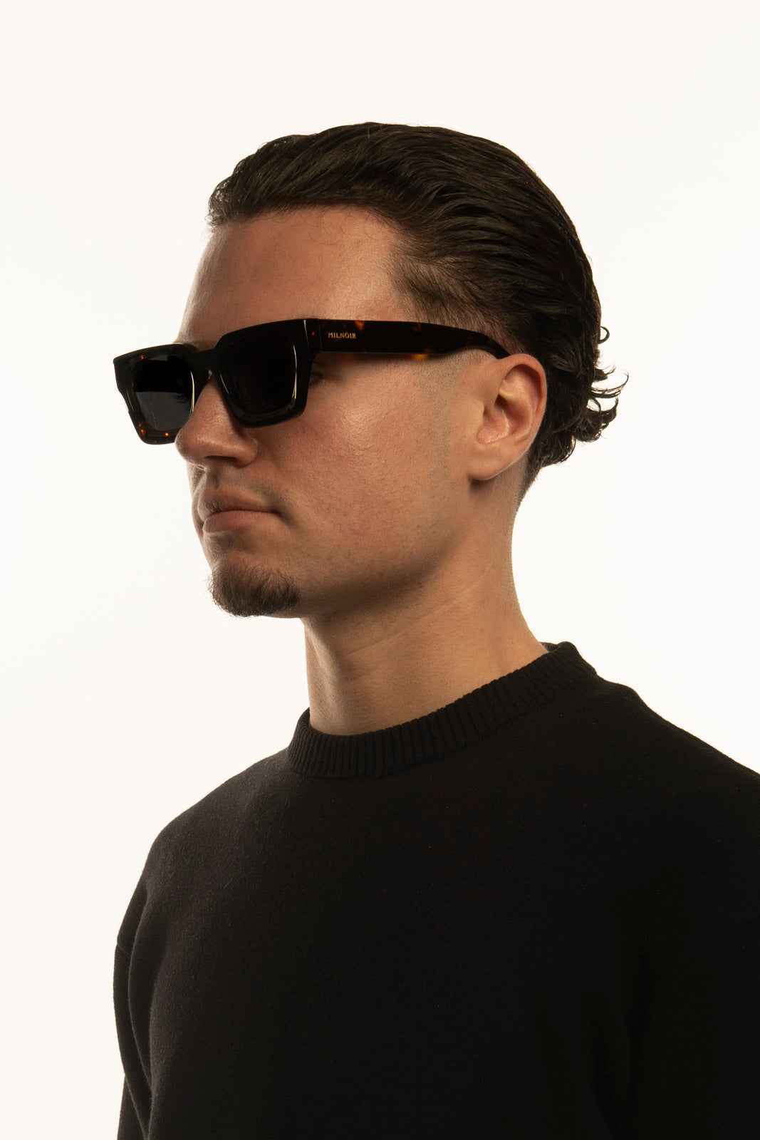 The Magnate Tortoise