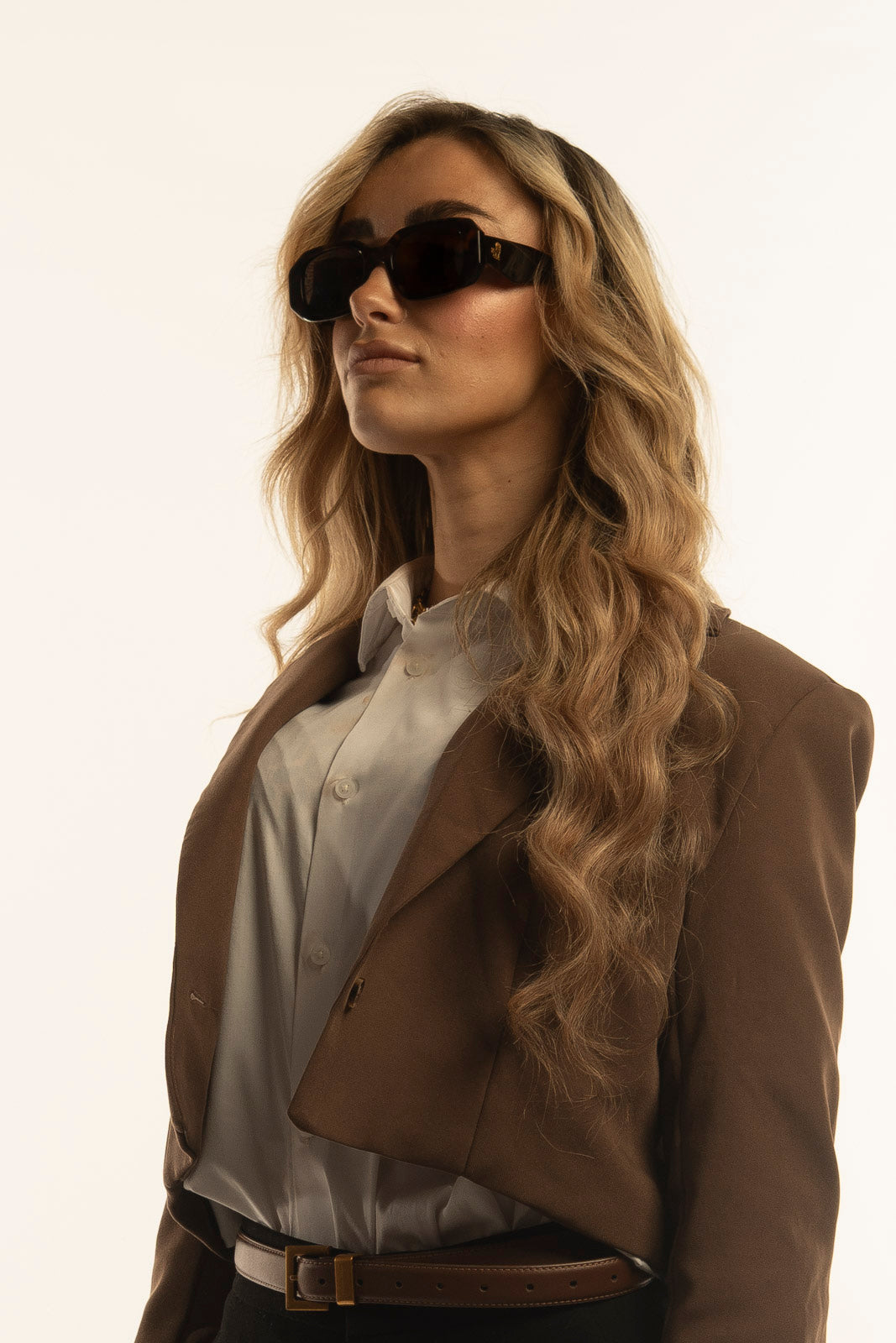 The Grandeur Tortoise