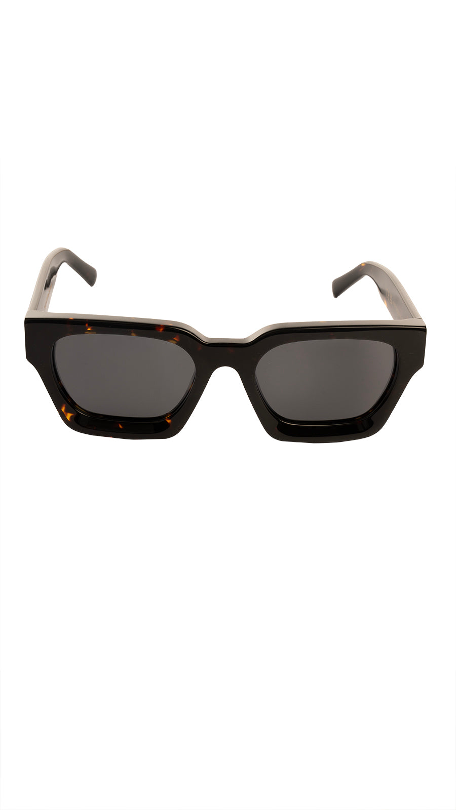 The Magnate Tortoise